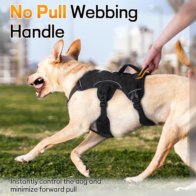 rabbitgoo Escape Proof Dog Harness for Large, No Pull with Lift Handle | No Escape, Full Soft Padded, Reflective Adjustable Vest, Leash Clip for Walking Hiking Training, Black, Large