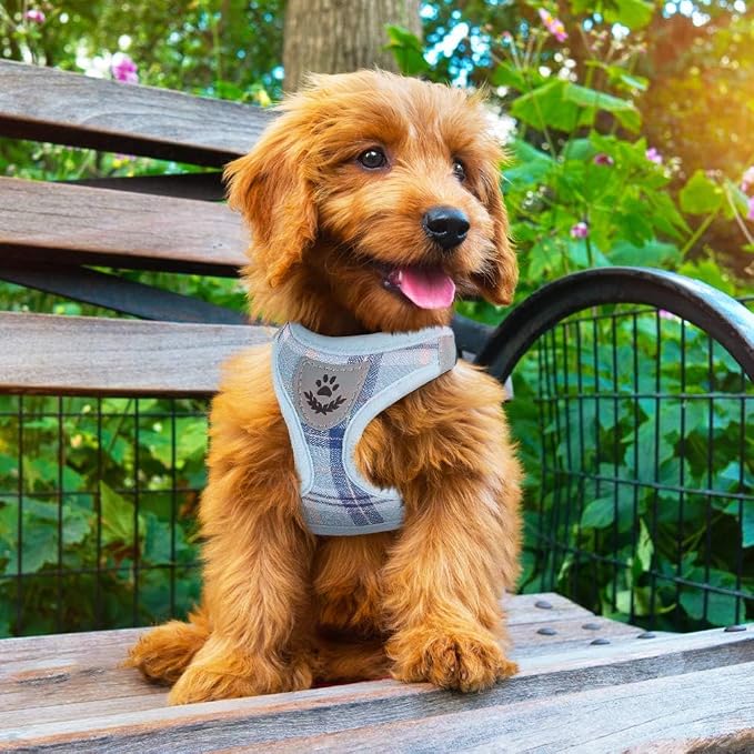 PUPTECK Adjustable Dog Harness Collar and Leash Set Step in No Pull Pet Harness for Small Medium Dogs Puppy and Cats Outdoor Walking Running, Soft Mesh Padded Reflective Vest Harnesses, Blue S