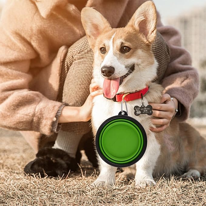 Guardians Large Collapsible Dog Bowls, 2 Pack, 34oz, Green+Blue