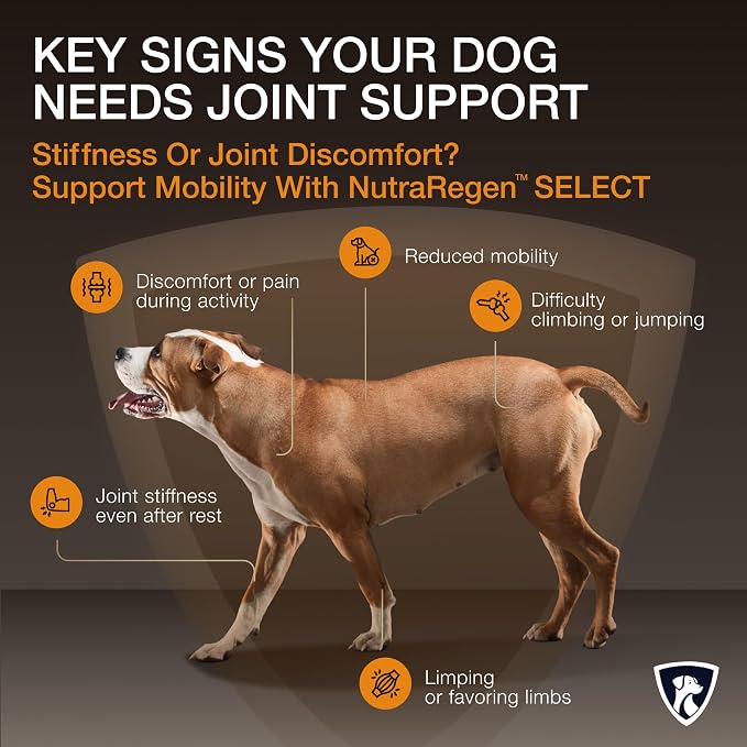 NutraRegen Select Joint & Mobility Supplements for Senior Dogs (7+)
