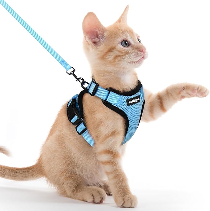 rabbitgoo Cat Harness and Leash Set, Escape Proof Vest, Light Blue | Soft Breathable Mesh, Easy Adjustable Fit, Snap Buckles, Sturdy Clip, Reflective Strips, for Kittens & Small Cats Walks, Xxs