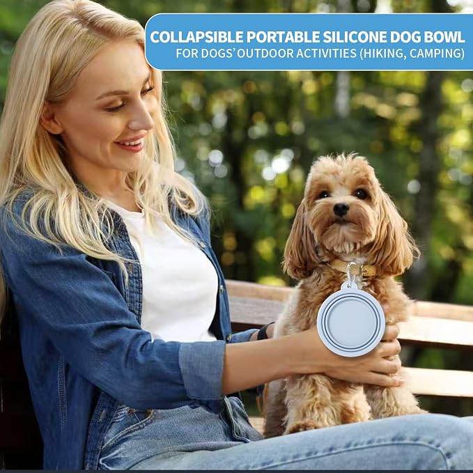 SLSON Macaron Collapsible Dog Bowl, 2 Pack, Small, Blue & Light Grey