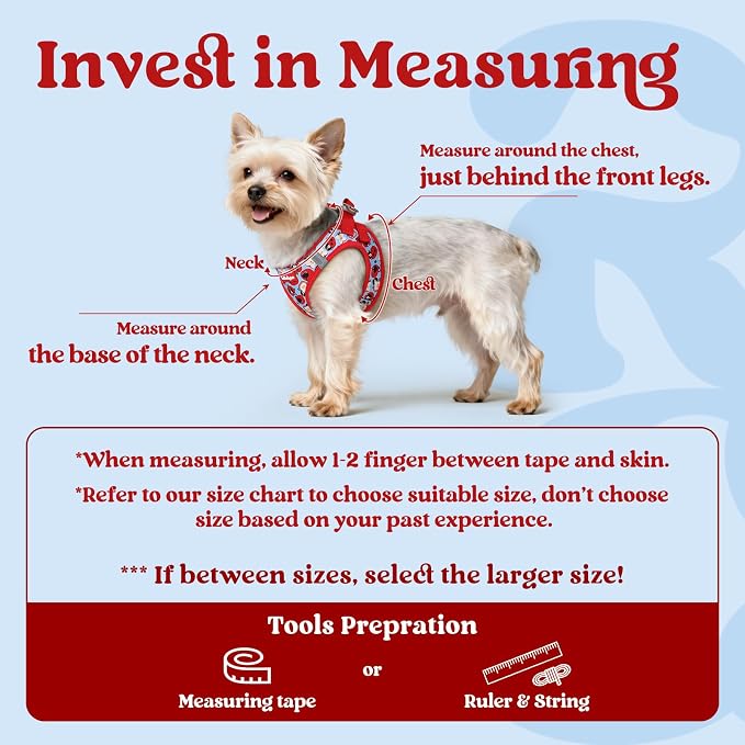 rabbitgoo Step-in Small Dog Harness, Puppy Vest for Small Sized Pet | Easy Put on and off, Lightweight, Soft, Breathable Quick-Dry Air Mesh for Comfortable Secure Walking, Apple Pups XS