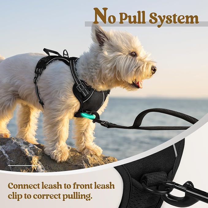 rabbitgoo Dog Harness, No Pull for Small Dogs with 2 Leash Clips, Pet Vest | No Choke with Handle, Adjustable Soft Padded, Reflective, Easy Control for Walking, Black, X-Small