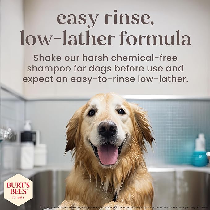 Burt's Bees Manuka Honey Deodorizing Dog Spray, Charcoal, 10 Fl Oz