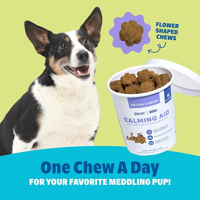 BARK x Scooby Calming Aid Health Supplement for Medium Breed Dogs, Medium