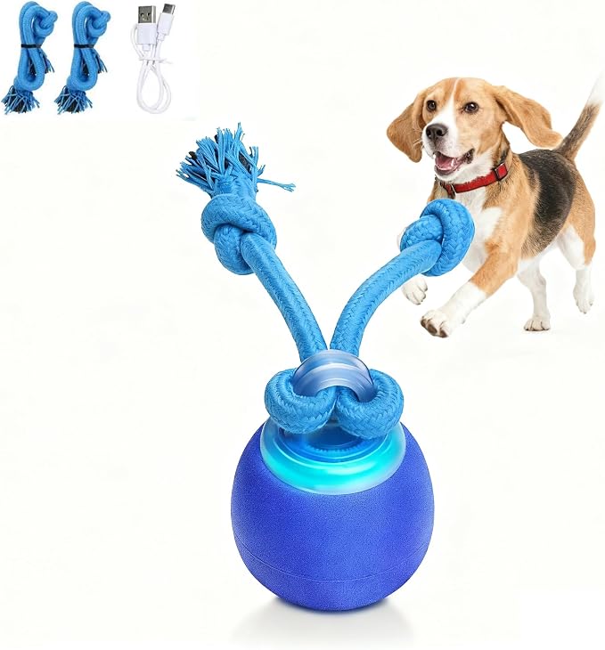 Interactive Dog Toys, Moving Dog Ball with Touch Activated, Active Rolling Ball for Puppy and Medium Dogs, Squeaky, USB Rechargeable