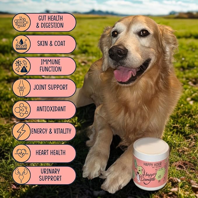 Dog Multivitamin Supplement - Glucosamine, MSM, Chondroitin for Joint Support, Gut Support with Probiotics, Skin and Coat with Omegas-3s - Bacon (120ct)