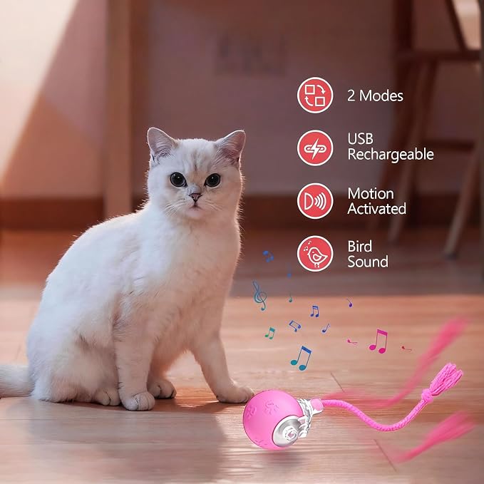 Speed 2.0 Tail Interactive Cat Toys, Rechargeable Ball for Indoor Cats | Motion-Activated Rolling Ball with Chirping Sounds, Cat Toys Interactive for Kittens and Adult Cats, Enrichment and Exercise