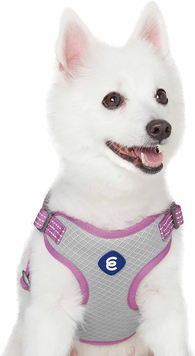 Blueberry Pet Essentials Back to Basics Reflective Dog Harness Vest, Mauve Orchid, Medium, Adjustable Harnesses for Dogs