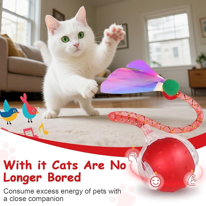 Interactive Cat Toys Smart Ball for Cats & Dogs! Now with 2 Rapid Tails. Features: 360°Auto-Rolling, Motion Activation& Bird Sounds. Perfect for Indoor Pet Exercise & Fun. (Red1)
