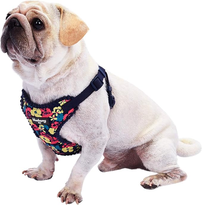 Blueberry Pet Soft & Comfy Made Well Profound Floral No Pull Mesh Dog Harness Vest in Navy Blue, Chest Girth 17.5"-21", Small, Adjustable Harnesses for Dogs