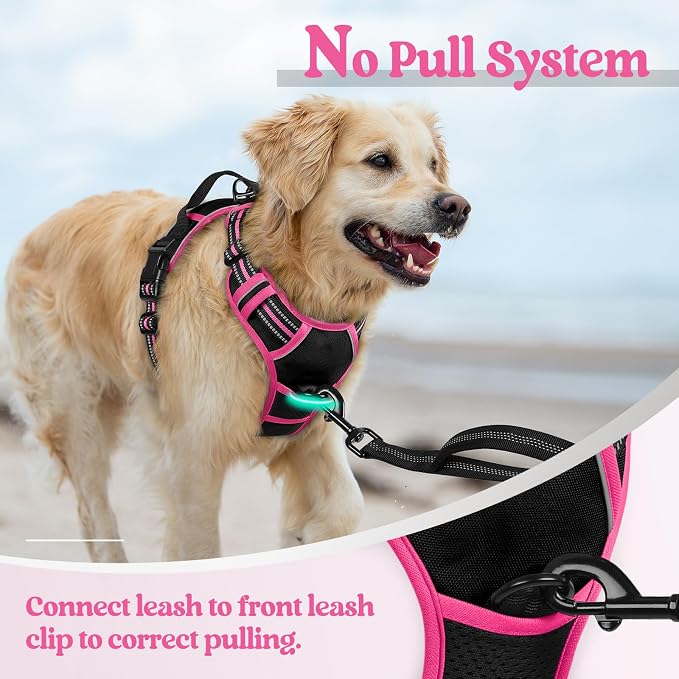 rabbitgoo Dog Harness, No Pull for Large Dogs with 2 Leash Clips, Pet Vest | No Choke with Handle, Adjustable Soft Padded, Reflective, Easy Control for Walking, Black & Hot Pink, X-Large