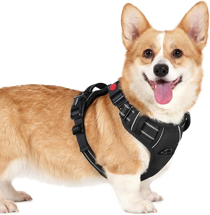 rabbitgoo Dog Harness Small Sized, Updated Easy On & Off with 3 Buckles | No Pull No Choke, Walking with 2 Clips and Handle, Adjustable Soft Reflective, Black, Small