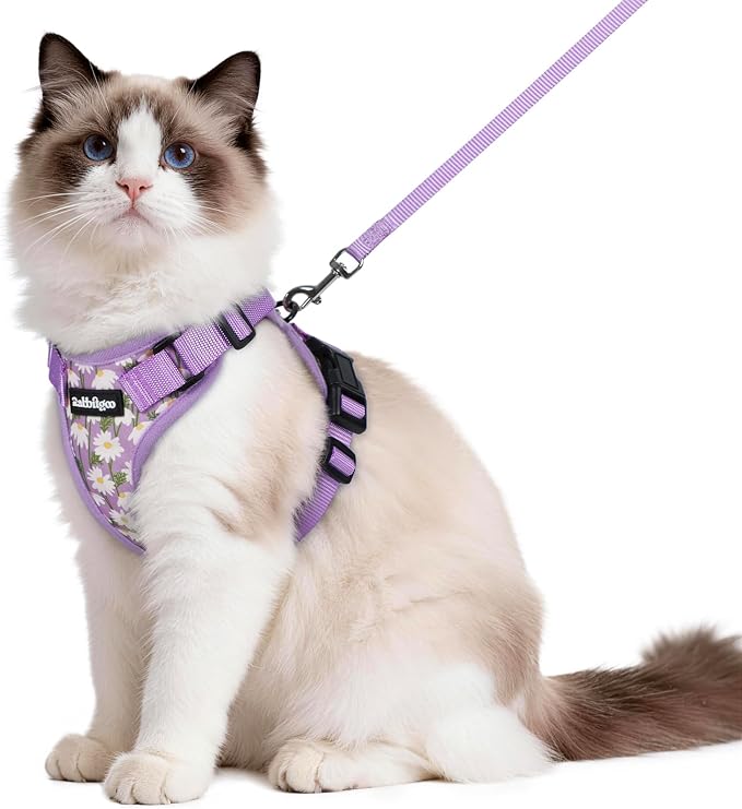 rabbitgoo Cat Harness and Leash Set, Escape Proof Vest, Purr-ple Daisy | Soft Breathable Mesh, Easy Adjustable Fit, Snap Buckles, Sturdy Clip, Reflective Strips, for Medium to Large Cats Walks, M