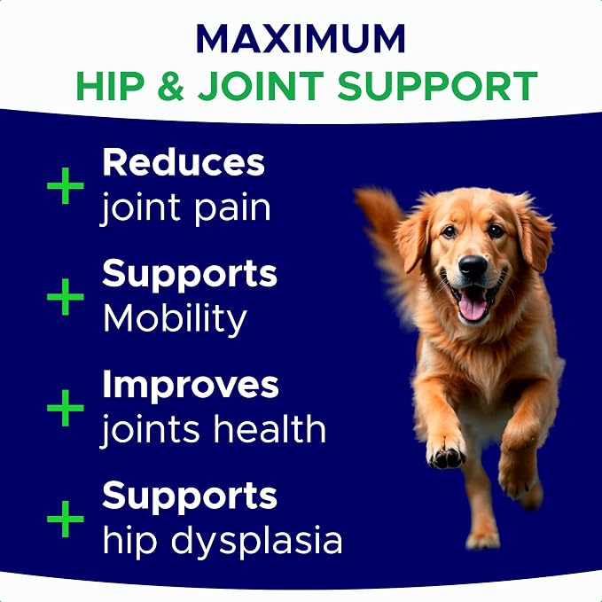 Glucosamine for Dogs Hip & Joint Supplement - Chondroitin, Omega-3, MSM - Joint Health & Pain Relief - Senior & Large Dogs - Made in USA - 180Ct