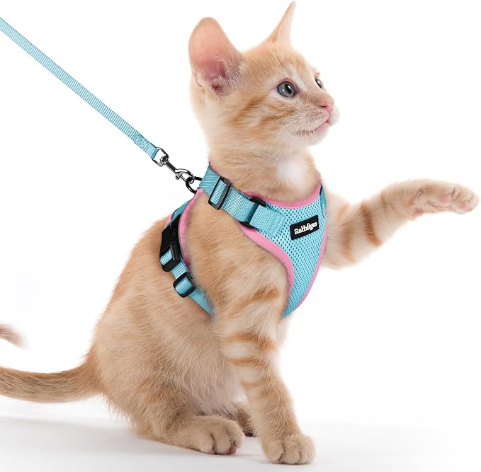 rabbitgoo Cat Harness and Leash Set, Escape Proof Vest, Light Blue & Pink | Soft Breathable Mesh, Easy Adjustable Fit, Snap Buckles, Sturdy Clip, Reflective Strips, for Kittens & Small Cats Walks, Xxs