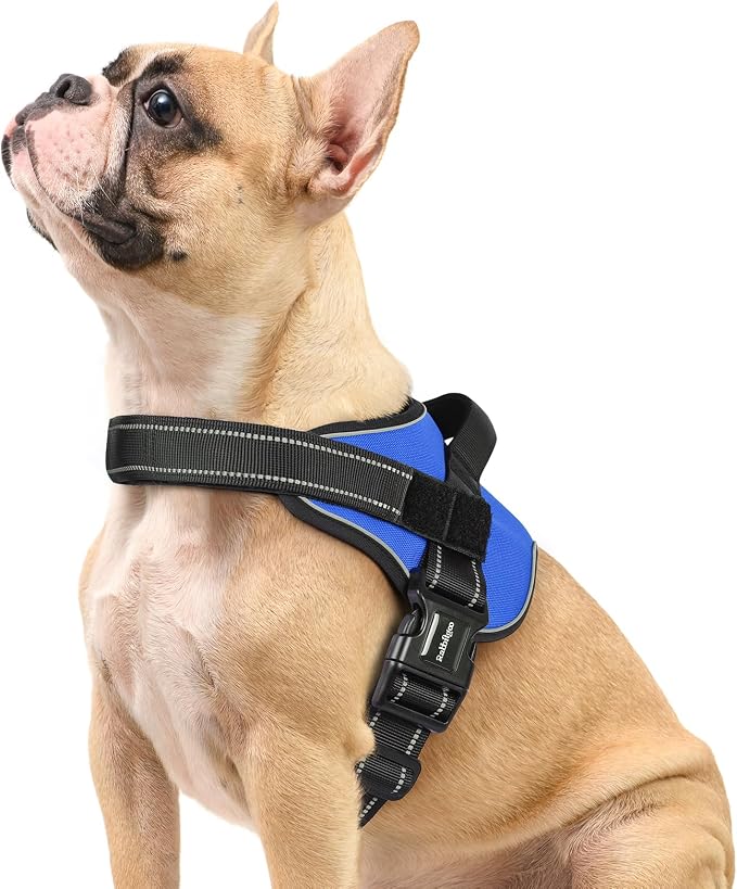 rabbitgoo No Pull No Choke Pet Vest, Adjustable Pet Harness with Molle | Small Sized Dog Harness, Reflective, Easy Wearing with One Buckle for Walking, Training, Blue, S