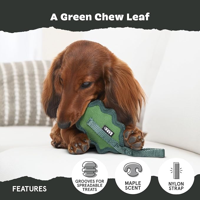 Barkbox Green Chew Leaf Dog Toy for Small Dogs – 2-in-1 Design with Mixed Textures and Surprises, Perfect for Tough Chewing and Playful Pups | Design with Mixed Textures and Surprises, Perfect for Tough Chewing and Playful Pups