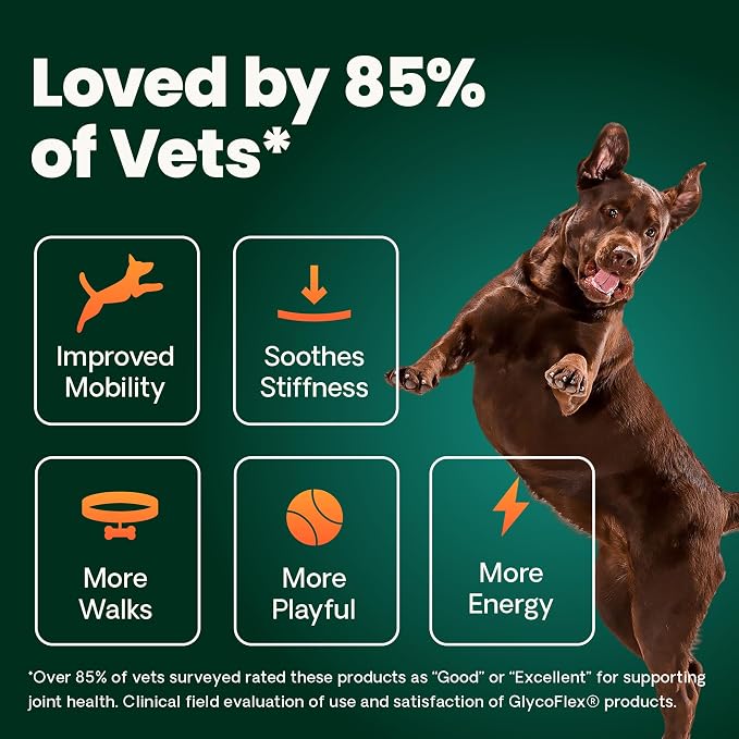 VetriScience Extra Strength Healthy Hip & Joint Chews, GlycoFlex Glucosamine and Green-Lipped Mussel Joint Support Supplement for Dogs, Chicken, 60 Count (Pack of 2)