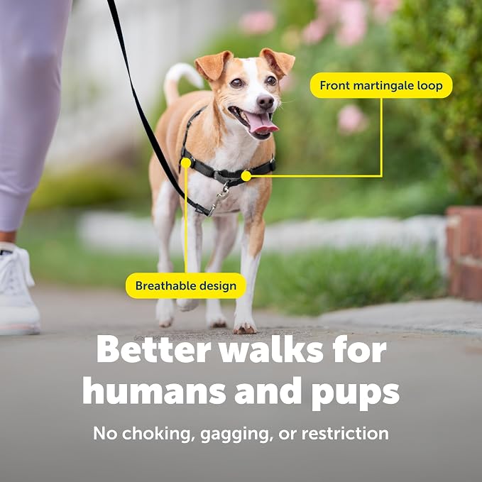 PetSafe Easy Walk Harness for Dogs - Pull-Free Walks - Patented Martingale Loop Design - Front Chest Leash Attachment - Comfort Straps - Breathable Harness Design - Small, Deep Purple/Black
