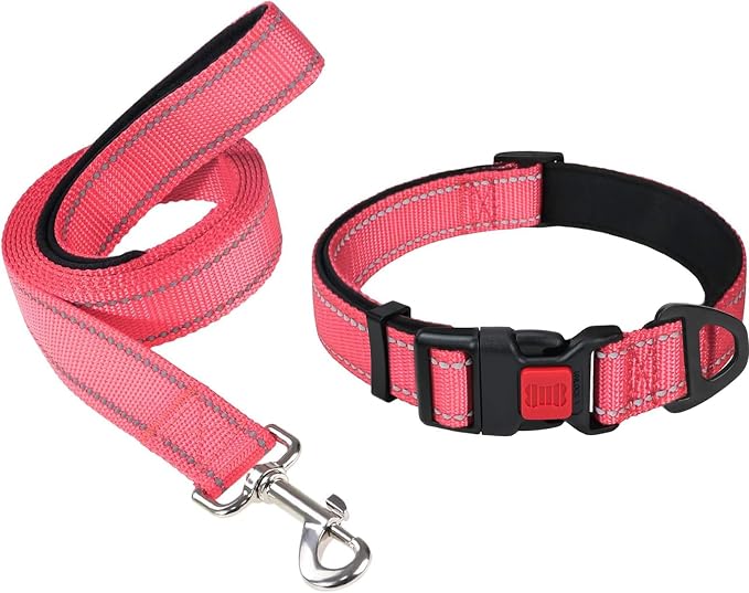 Taglory 10"-16" Dog Collar and 6 FT Dog Leash Set, Highly Reflective Threads Dog Leash, Adjustable Reflective Dog Collar with Safety Locking Buckle for Small Dogs