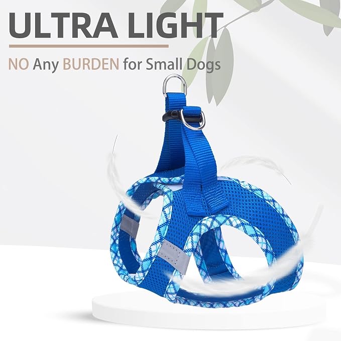 PUPTECK Dog Harness and Leash Set for Small Medium Dogs No Pull Step-in Soft Mesh Puppy Cat Vest Harnesses Reflective at Night, Blue S
