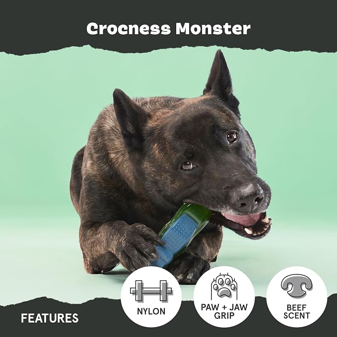 BarkBox Crocness Monster Dog Toy - for Medium Dogs | Beef-Scented, Perfect for Tough Chewers to Grab, Grip, and Chew for Endless Fun
