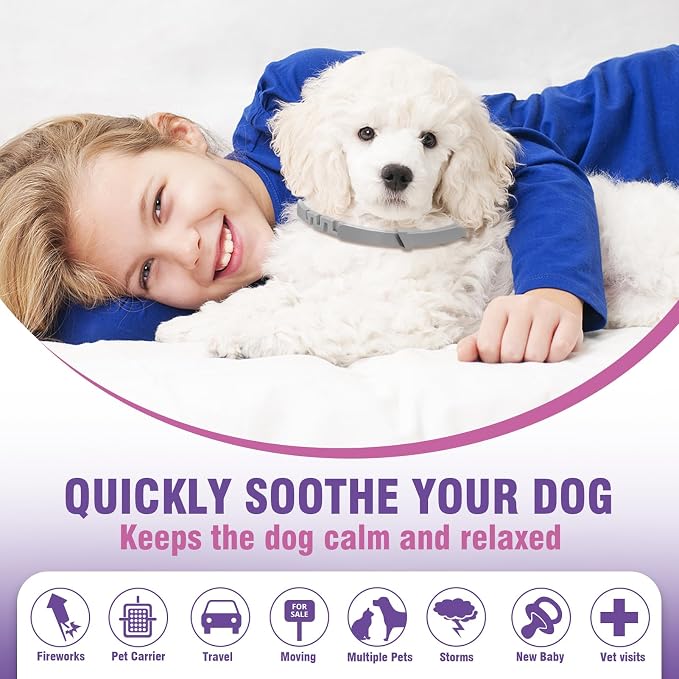 Calming Collar for Dogs 4 Packs Dog Pheromone Calm Collars Relief Anxiety Stress Separation, 25 Inches, Grey