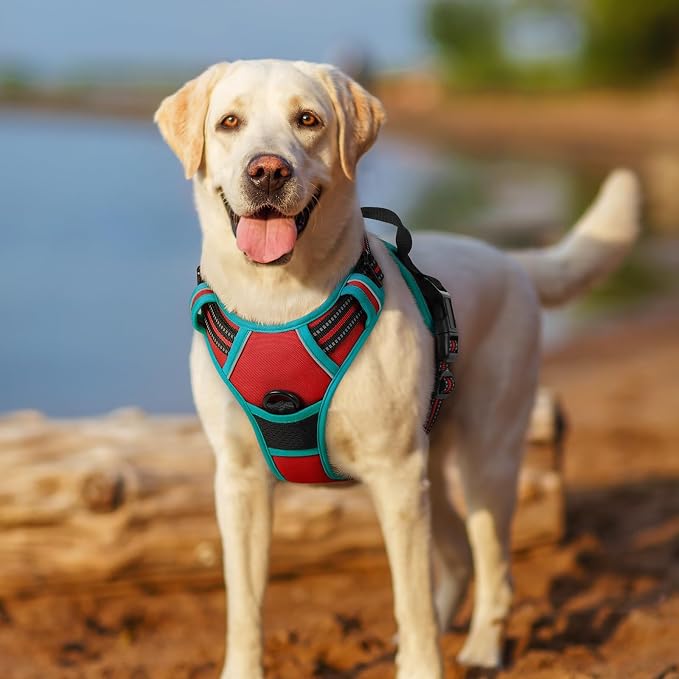 rabbitgoo Dog Harness, No Pull for Small Dogs with 2 Leash Clips, Pet Vest | No Choke with Handle, Adjustable Soft Padded, Reflective, Easy Control for Walking, Red & Teal, Small