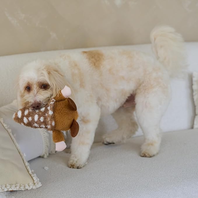 SPOT Woodsy Gnome Dog Toy - Soft, Stuffed, Squeaky, Plush Fabric Toy for Medium and Large Dogs and Puppies, Enrichment for Light Chewers and Cuddlers, 12in, Assorted Colors