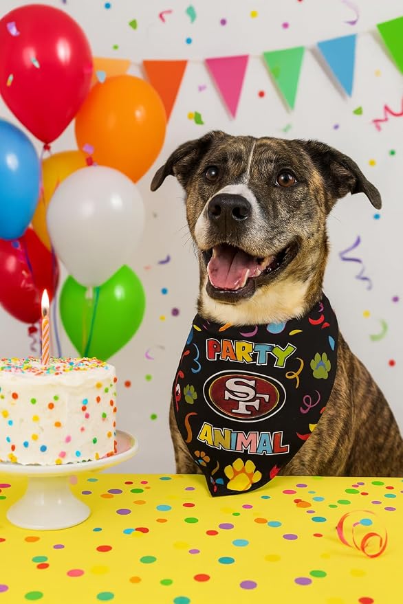 NFL San Francisco 49ers Pet Birthday Bandana, NFL Dog Birthday Party Set and Costume, Licensed Dog & Cat Birthday Party Scarf, Football Team Pet Outfit, Puppy Bday Accessory, Size Large/X-Large