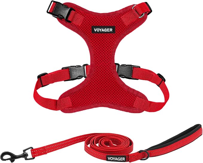 Best Pet Supplies Voyager Step-in Lock Pet Harness w Reflective Pet Leash Combo Set with Neoprene Handle 5ft - Supports Small, Medium and Large Breed Puppies/Cats - Red Set, M
