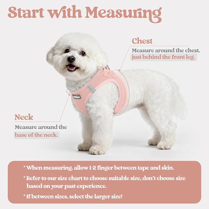 rabbitgoo Dog Harness Medium Sized and Leash Set, Step-in Puppy Pet Vest | Light, Soft, Breathable Air Mesh, Easy on and Remove with Hook & Loop, Secure Reflective for Walking, Pink XXL