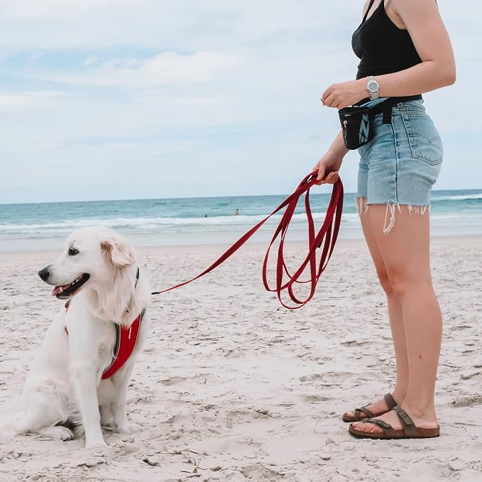 EzyDog Track and Train 16 Foot Premium Dog Leash - Red | Ultra Grippy rubber Lokgrip Webbing, Anti-Snag Handle, 16-Feet Extra Long Dog Lead, Traffic Control Handle