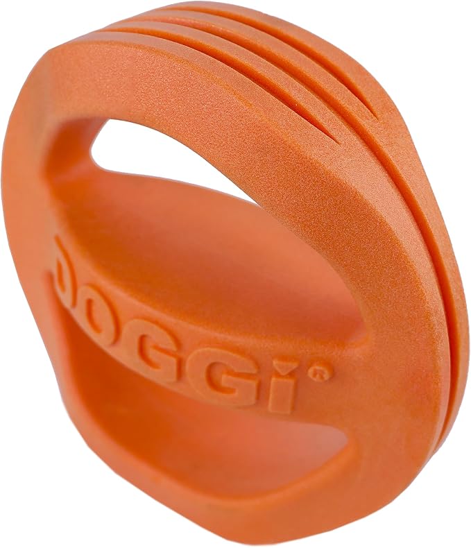 Van Ness Pets Doggi Catch and Carry Flying Disc, Large, Orange