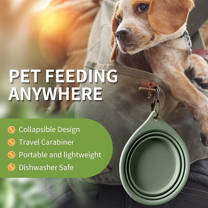 Collapsible Dog Bowls, 2-Piece Puppy Bowl Set
