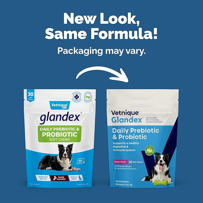 Vetnique Glandex Probiotic Chews for Dogs - 30ct, Bacon Flavor