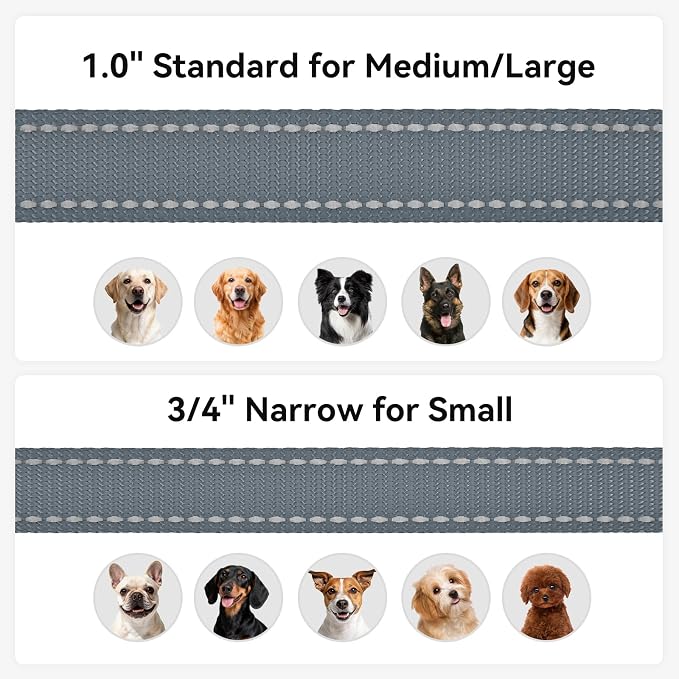 Joytale Reflective Dog Leash for Medium & Large Dogs, 5 FT x 1", Gray | Heavy Duty Nylon Webbing, Padded Handle for Comfort, Visible at Night, for Walking & Training