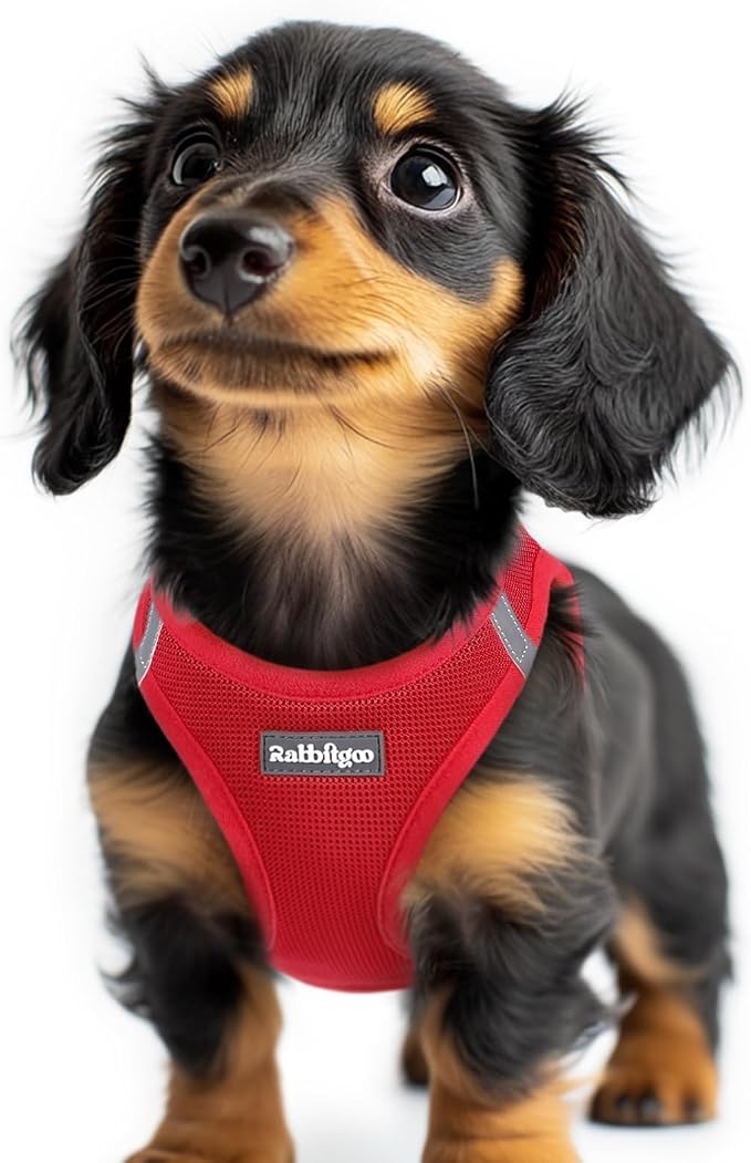 rabbitgoo Step-in Small Dog Harness, Puppy Vest for Small Sized Pet | Easy Put on and off, Lightweight, Soft, Breathable Quick-Dry Air Mesh for Comfortable Secure Walking, Red XXS