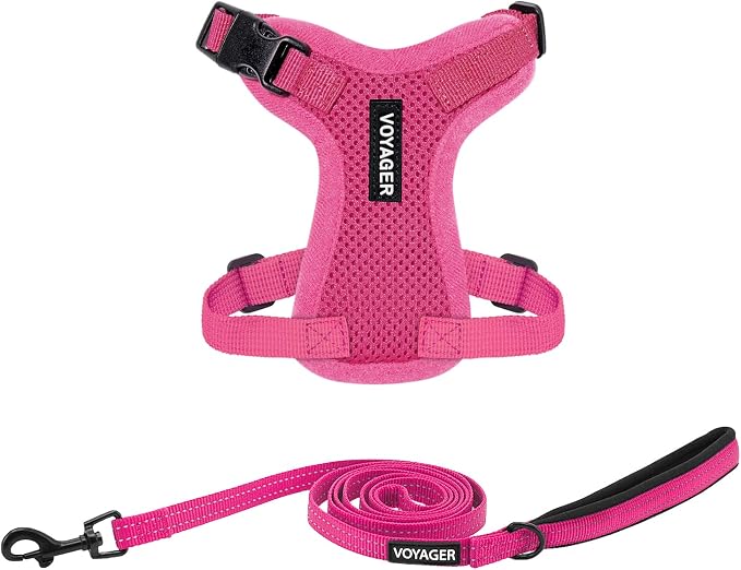 Best Pet Supplies Voyager Step-in Lock Pet Harness w Reflective Pet Leash Combo Set with Neoprene Handle 5ft - Supports Small, Medium and Large Breed Puppies/Cats - Fuchsia, XXS
