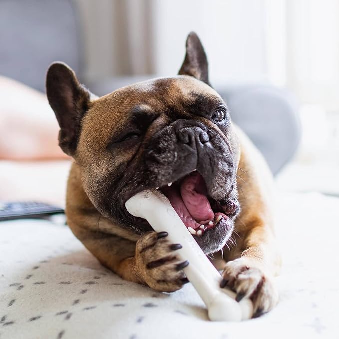Nylabone Power Chew Original Bone Dog Chew Toy, Chicken Flavor, Medium | Durable, discourages destructive chewing, long lasting, flavor throughout, keeps dogs busy, for dogs up to 35 pounds