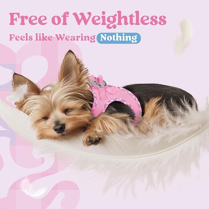 rabbitgoo Step-in Small Dog Harness, Puppy Vest for Small Sized Pet | Easy Put on and off, Lightweight, Soft, Breathable Quick-Dry Air Mesh for Comfortable Secure Walking, Pink & Plaid Trim XS