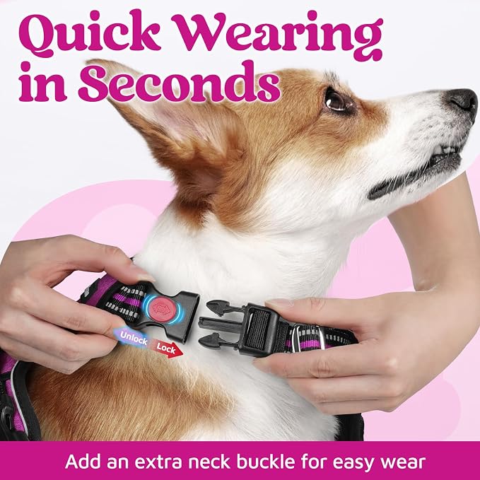 rabbitgoo Dog Harness Medium Sized, No Pull 3 Buckles Easy On & Off | Soft Padded, Walking with Control Handle, Adjustable and Reflective, Purple, Medium