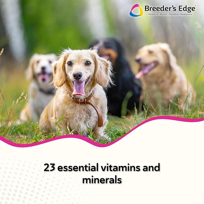 Breeder's Edge in Between for Her, for Breeding Cat & Small Dog 90ct