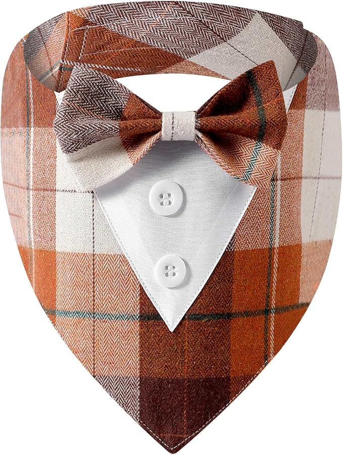 Fall Dog Tuxedo Bandana, X-Small, Small, Orange