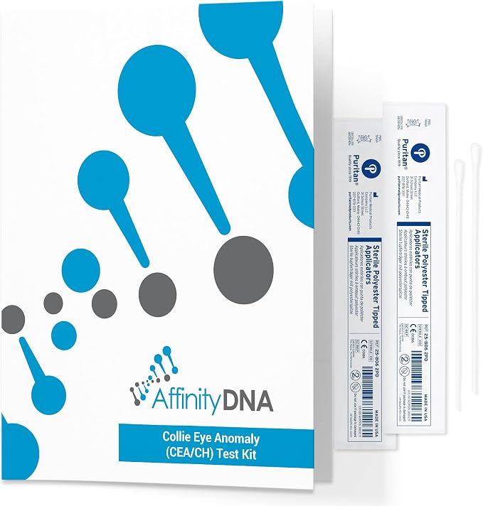 Dog Collie Eye Anomaly (CEA/CH) DNA Test