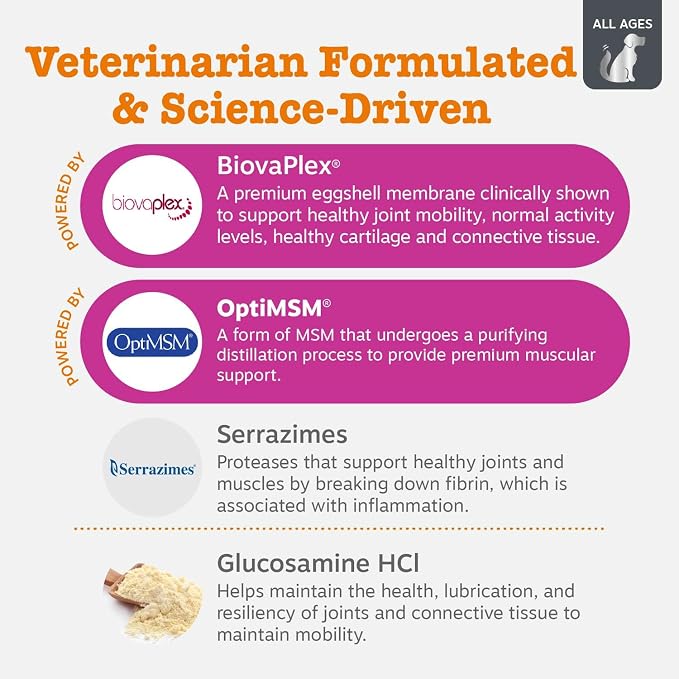 Zesty Paws Vet Strength Mobility Bites Beef & Bacon Flavor Hip & Joint Support Chews for Dogs with Glucosamine, Chondroitin, MSM, Hyaluronic Acid & Serrazimes - 90 Count (Pack of 2)