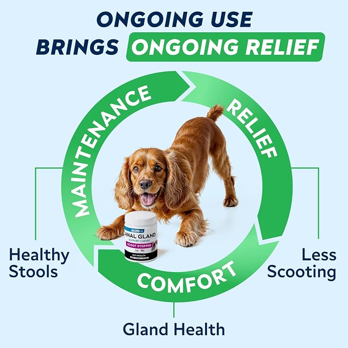 STRELLALAB Anal Gland Support Chews - Scoot Treatment - Digestive Enzymes