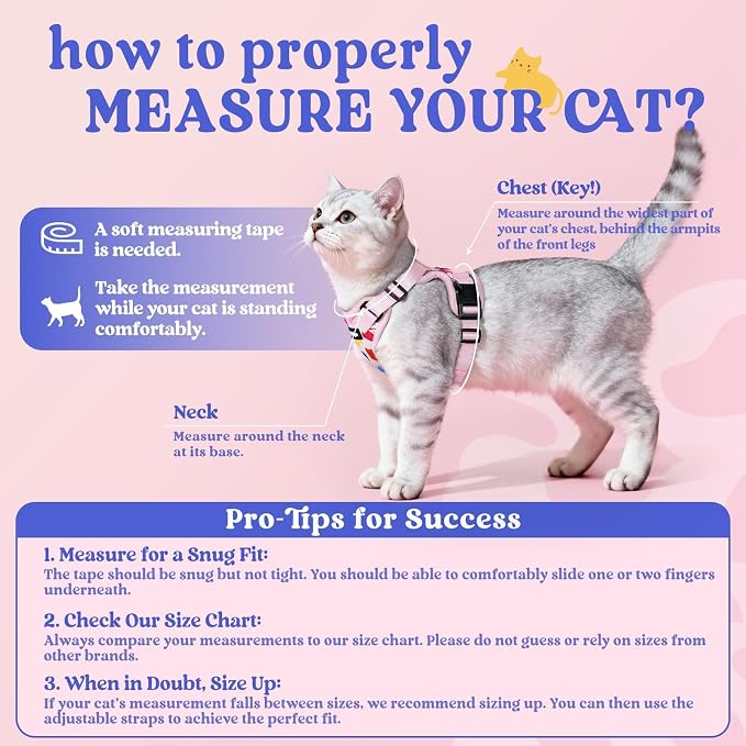 rabbitgoo Cat Harness and Leash Set, Escape Proof Vest, Purrty Pink | Soft Breathable Mesh, Easy Adjustable Fit, Snap Buckles, Sturdy Clip, Reflective Strips, for Medium to Large Cats Walks, M